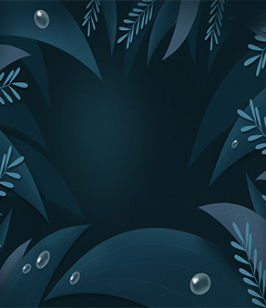 bonus card background